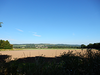  Thumbnail of Wye village.